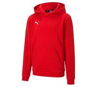 Puma Boys' teamGOAL 23 Casuals Hoody Jr Pullover, Red, 140