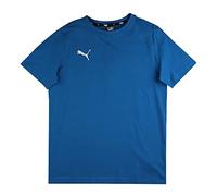 PUMA Boys, teamGOAL 23 Casuals Tee Jr T-shirt, Electric Blue Lemonade, 164