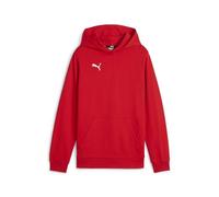PUMA Boys Teamgoal Casuals Hoody Jr Pullover, Puma Red-puma White, 128 EU