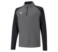 Puma Boys TeamLiga Kids Grey Football Top - Size 11-12Y