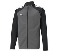 Puma Boys TeamLiga Kids Grey Training Jacket - Size 9-10Y