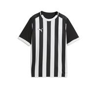 Puma Boy's Teamliga26 Striped Jersey Jr Jerseys (Pack of 1)