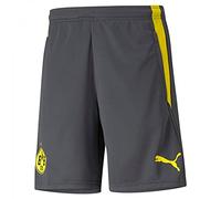 Puma BVB Training Shorts w pockets w zip Asphalt