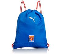 Puma Children's Backpack Superman Gym Bag, Royal Blue, 46 x 39 x 1 x 1, 8.0 litres 073225 01