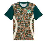 Puma Costa De Marfil 24/25 Pre Match Short Sleeve T-shirt