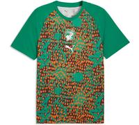 Puma Costa De Marfil 25/26 Pre Match Short Sleeve T-shirt