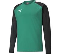 Puma Crew Sweatshirt TeamLIGA Training Sweat 657238