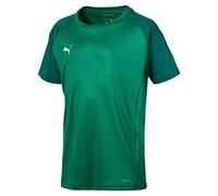 PUMA CUP Sideline Tee Core Jr