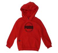 Puma DCT Hoodie Jr 849258 sweatshirt 11