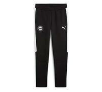 Puma Deportivo Alavés Teamevostripe Sweat Pants
