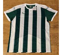 Puma Dry Cell Striped Short Sleeve T-Shirt Power Green White UK XXL 2XL