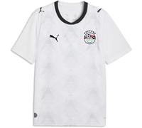 PUMA EFA Away Jersey Replica
