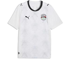 PUMA EFA Away Jersey Replica