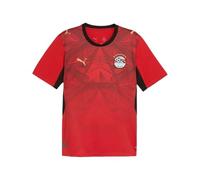 PUMA EFA Home Jersey Replica