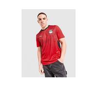 Puma Egypt 25/26 Replica Home Short Sleeve T-shirt Red S Man
