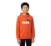 Puma Ess+ 2 Col Big Logo Hoodie