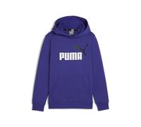 PUMA ESS+ 2 Col Big Logo Hoodie FL B