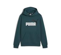 PUMA ESS+ 2 Col Big Logo Hoodie FL B