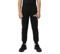 Puma Ess+ 2 Col Logo Fl Sweat Pants