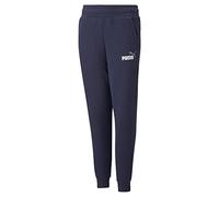 PUMA ESS+ 2 Col Logo Pants FL cl B