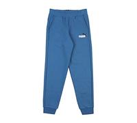 PUMA ESS+ 2 Col Logo Pants FL cl B Lake Blue