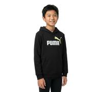 Puma Ess 2 Color Nº 1 Logo Hoodie