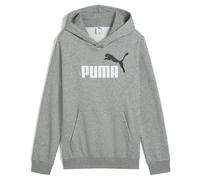 Puma Ess 2 Color Nº 1 Logo Hoodie