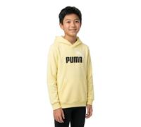 Puma Ess 2 Color Nº 1 Logo Hoodie