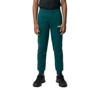 Puma Ess 2 Color Nº1 Logo Sweat Pants