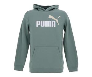PUMA ESS 2 COLOR No. 1 Logo Hoodie FL B