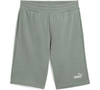 PUMA ESS 2 Color No. 1 Logo Shorts 10" TR