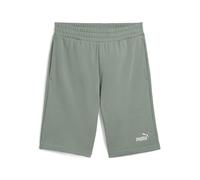 PUMA ESS 2 Color No. 1 Logo Shorts 10" TR