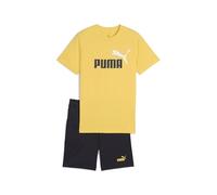 PUMA ESS 2 COLOR No. 1 Logo Tee and Shorts Set B