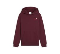 PUMA ESS 2 COLOR Small No. 1 Logo Hoodie FL B