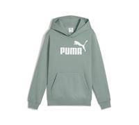 PUMA ESS No. 1 Logo Hoodie FL B