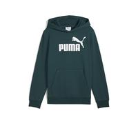 Puma Ess Nº 1 Logo Hoodie Green 9-10 Years Boys,Girls