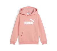 PUMA ESS No. 1 Logo Hoodie FL PS