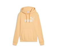 PUMA ESS No. 1 Logo Hoodie FL (s)