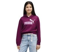 Puma Essential 2 Color Nº1 Logo Short Length Tr Hoodie