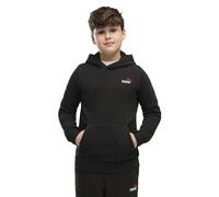 Puma Essential 2 Color Small Nº1 Logo Hoodie