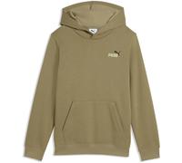 Puma Essential 2 Color Small Nº1 Logo Hoodie