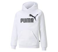Puma Essential Big Logo Hoodie