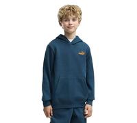 Puma Essential Logo Lab Brand Back Graphic Hoodie