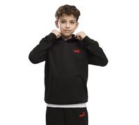 Puma Essential Logo Lab Brand Back Graphic Hoodie