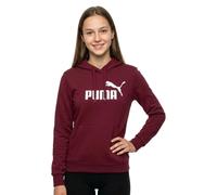 Puma Essential Nº1 Logo Hoodie
