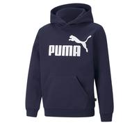 Puma Essentials Big Logo Fl Sweatshirt