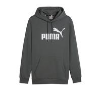Puma Essentials Big Logo Hoody Grey C069