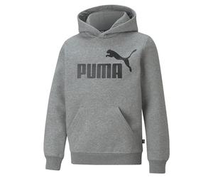 PUMA Essentials Big Logo Youth Hoodie Medium Gray Heather 140