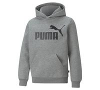 PUMA Essentials Big Logo Youth Hoodie Medium Gray Heather 152
