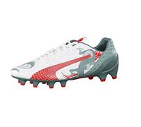 Puma Evospeed 1.3 Graphic FG, Men’s Football Training Shoes, White (white-sea pine-high risk red 01), 7.5 UK (41 EU)